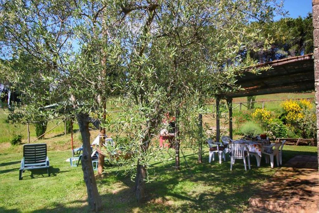 Alojamento de Turismo Rural Bellavista Radicondoli